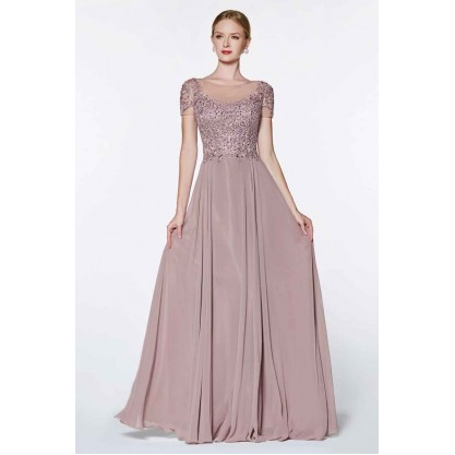 Cap Sleeve Chiffon Gown With Embroidered Lace Appliques And Closed Back by Cinderella Divine -CD0139