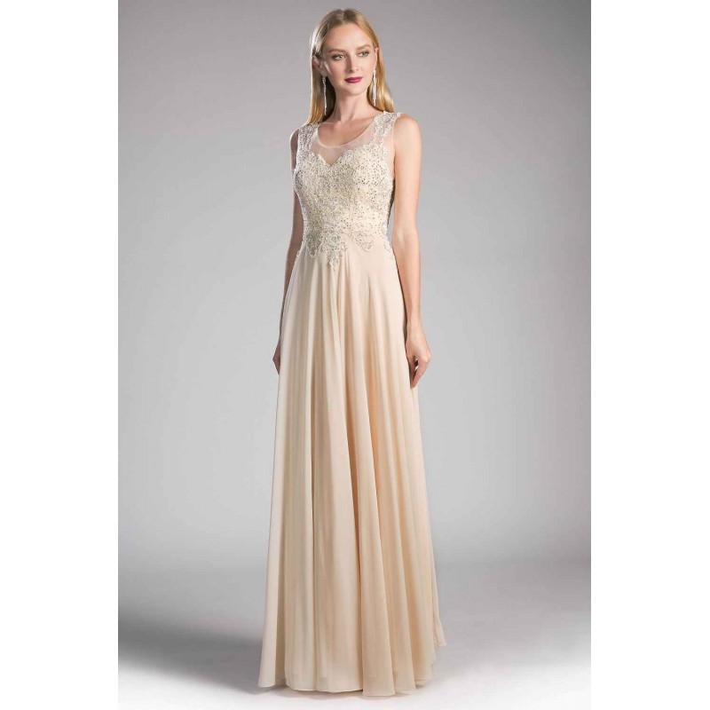 A-Line Chiffon Gown With Lace Embellished Bodice by Cinderella Divine -2635