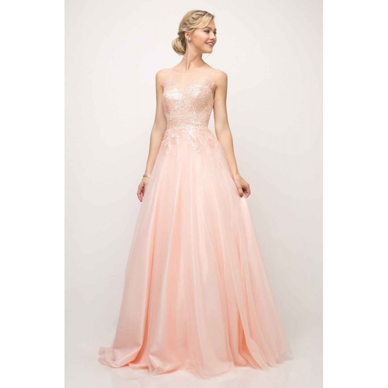 A-Line Tulle Gown With Lace Bodice And Illusion Neckline by Cinderella Divine -UE009