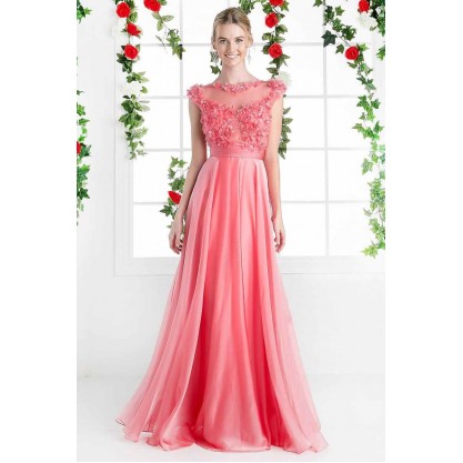 Beaded Applique Chiffon A - Line Dress by Cinderella Divine -CJ218