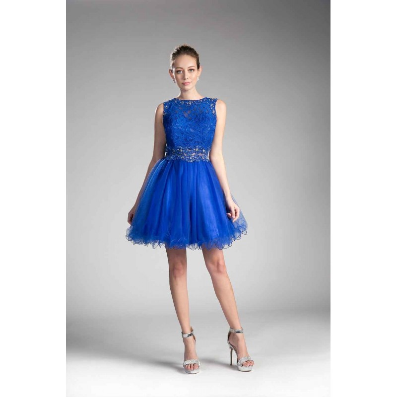 A-Line Short Dress With High Lace Neckline And Layered Skirt by Cinderella Divine -CD0117