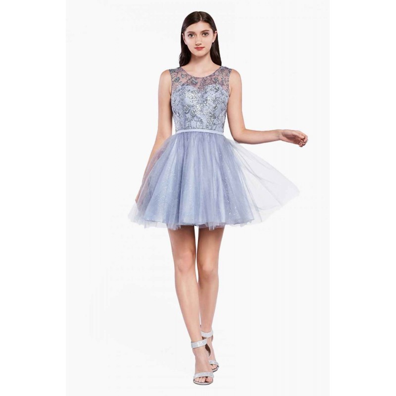 A-Line Tulle Short Dress With Glitter Detail And Illusion Neckline By Cinderella Divine -CD20