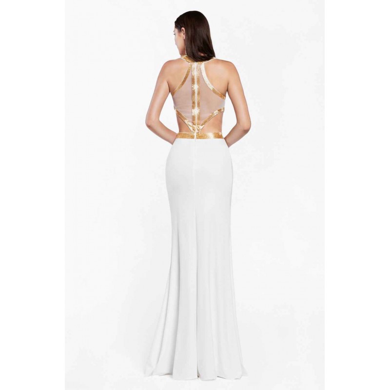 Fitted Long Sheer Halter Dress by Cinderella Divine -J735