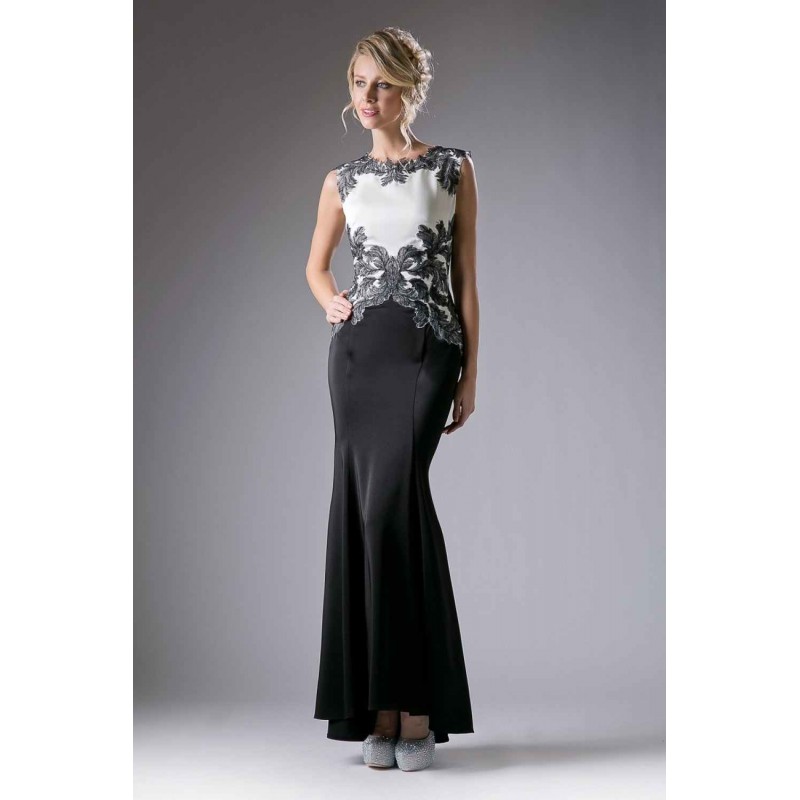 Fitted Long Embroidered Dress by Cinderella Divine -CF121