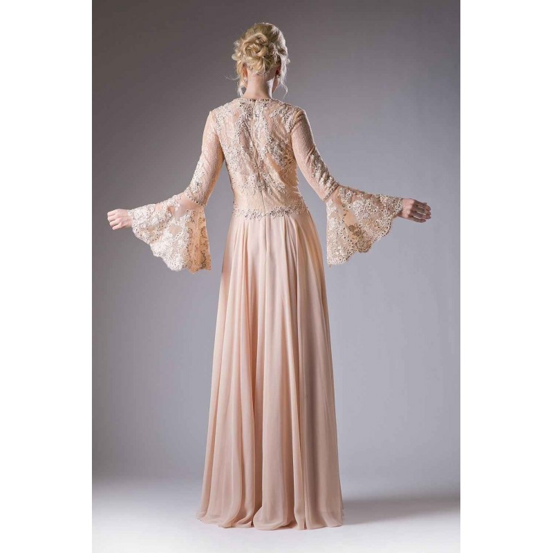 Lace Chiffon Empire Waist Dress by Cinderella Divine -CR774
